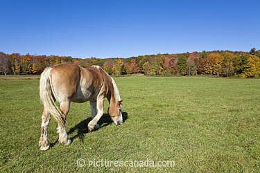 Laurentides-0044